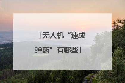 无人机“速成弹药”有哪些