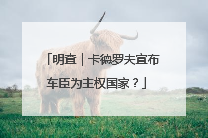 明查｜卡德罗夫宣布车臣为主权国家？