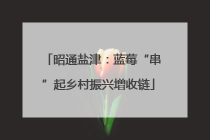 昭通盐津：蓝莓“串”起乡村振兴增收链