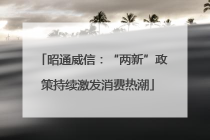 昭通威信：“两新”政策持续激发消费热潮