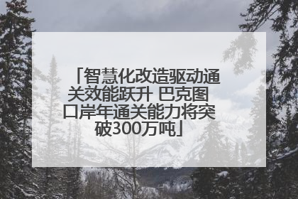 智慧化改造驱动通关效能跃升 巴克图口岸年通关能力将突破300万吨