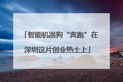 智能机器狗“奔跑”在深圳这片创业热土上