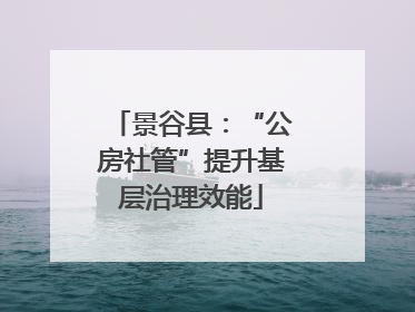 景谷县：“公房社管”提升基层治理效能