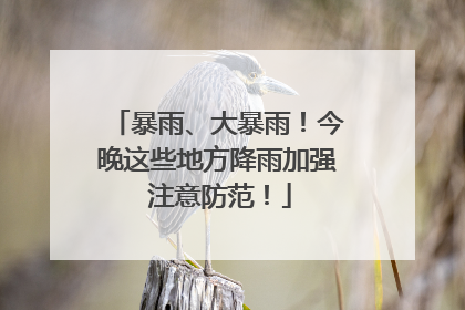 暴雨、大暴雨！今晚这些地方降雨加强 注意防范！