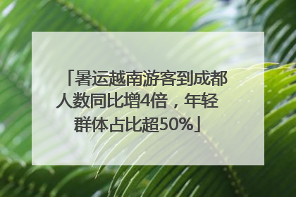 暑运越南游客到成都人数同比增4倍，年轻群体占比超50%