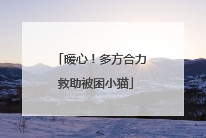 暖心！多方合力救助被困小猫