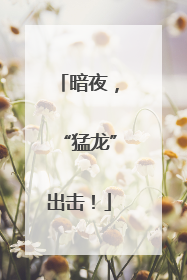 暗夜，“猛龙”出击！