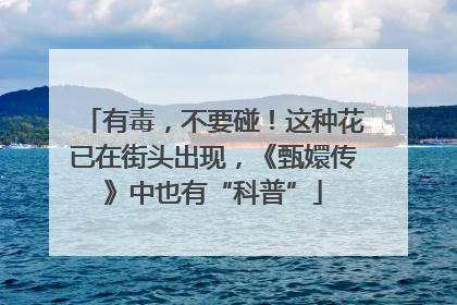 有毒，不要碰！这种花已在街头出现，《甄嬛传》中也有“科普”