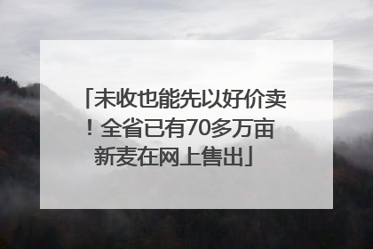 未收也能先以好价卖！全省已有70多万亩新麦在网上售出