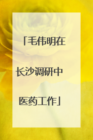 毛伟明在长沙调研中医药工作