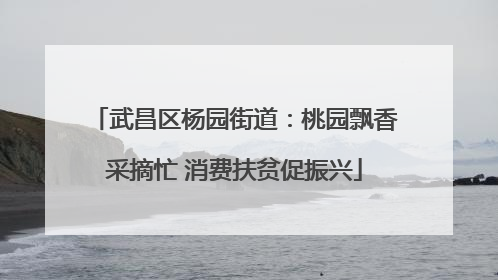 武昌区杨园街道：桃园飘香采摘忙 消费扶贫促振兴