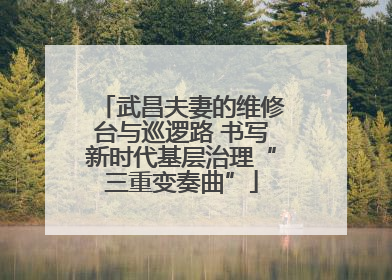 武昌夫妻的维修台与巡逻路 书写新时代基层治理“三重变奏曲”