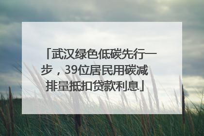 武汉绿色低碳先行一步，39位居民用碳减排量抵扣贷款利息