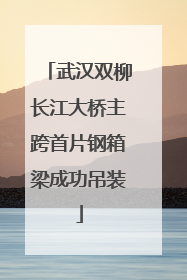 武汉双柳长江大桥主跨首片钢箱梁成功吊装