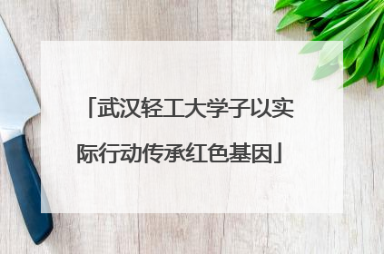 武汉轻工大学子以实际行动传承红色基因