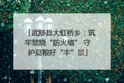 武陟县大虹桥乡：筑牢禁烧“防火墙” 守护夏粮好“丰”景
