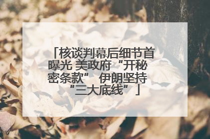 核谈判幕后细节首曝光 美政府“开秘密条款” 伊朗坚持“三大底线”