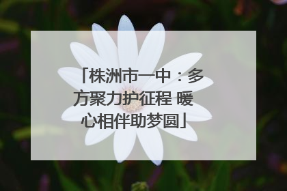 株洲市一中：多方聚力护征程 暖心相伴助梦圆