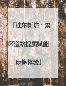 桂东新坊：景区道路提质赋能康旅体验