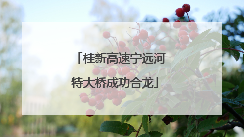 桂新高速宁远河特大桥成功合龙