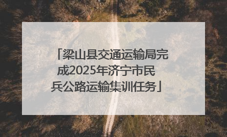 梁山县交通运输局完成2025年济宁市民兵公路运输集训任务