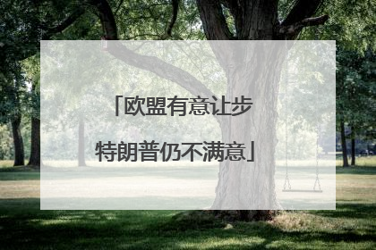 欧盟有意让步 特朗普仍不满意