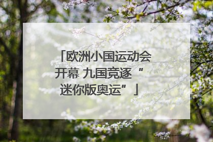 欧洲小国运动会开幕 九国竞逐“迷你版奥运”