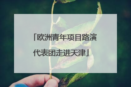 欧洲青年项目路演代表团走进天津