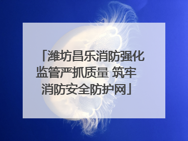 潍坊昌乐消防强化监管严抓质量 筑牢消防安全防护网