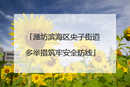 潍坊滨海区央子街道多举措筑牢安全防线