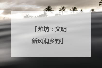 潍坊：文明新风润乡野