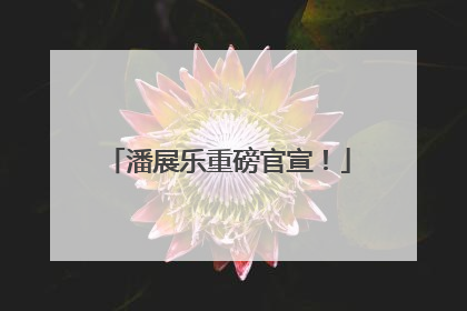 潘展乐重磅官宣！
