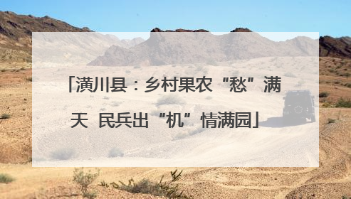 潢川县：乡村果农“愁”满天  民兵出“机”情满园