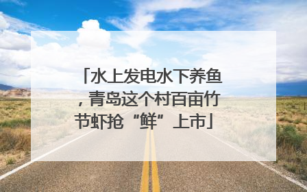 水上发电水下养鱼，青岛这个村百亩竹节虾抢“鲜”上市