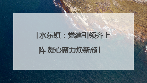 水东镇：党建引领齐上阵 凝心聚力焕新颜