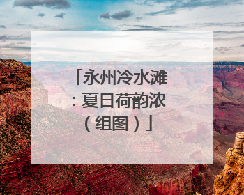 永州冷水滩：夏日荷韵浓（组图）