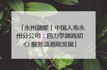 永州融耀丨中国人寿永州分公司：四力擎旗践初心 服务潇湘助发展