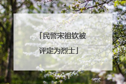 民警宋祖钦被评定为烈士