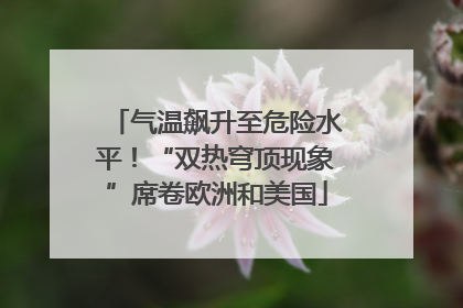 气温飙升至危险水平！“双热穹顶现象”席卷欧洲和美国