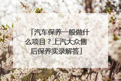汽车保养一般做什么项目？上汽大众售后保养实录解答