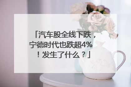 汽车股全线下跌，宁德时代也跌超4%！发生了什么？