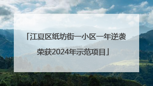 江夏区纸坊街一小区一年逆袭 荣获2024年示范项目