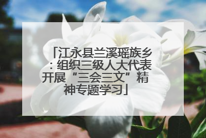 江永县兰溪瑶族乡：组织三级人大代表开展“三会三文”精神专题学习