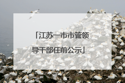 江苏一市市管领导干部任前公示