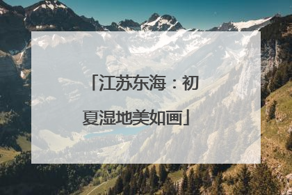 江苏东海：初夏湿地美如画