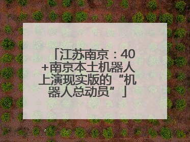 江苏南京：40+南京本土机器人上演现实版的“机器人总动员”