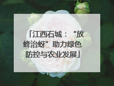江西石城：“放蜂治蚜”助力绿色防控与农业发展