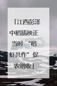 江西彭泽中稻插秧正当时 “稻虾共作”促农增收