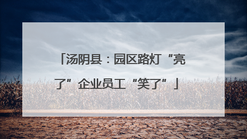 汤阴县：园区路灯“亮了”企业员工“笑了”