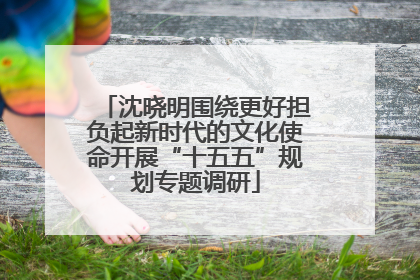 沈晓明围绕更好担负起新时代的文化使命开展“十五五”规划专题调研
